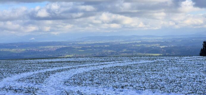 Fotó a Thomas Schekira honlapról a túra során