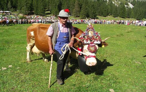 Almabtrieb 