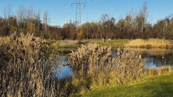 Photo from Sonja Kessler along the tour