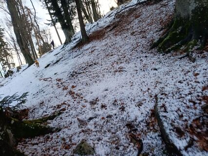 Fotografija s spletne strani Karin Wessely na poti