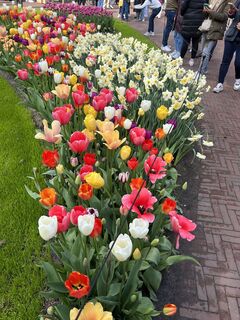 Fotografie de la Silvia Hollenstein de-a lungul turului
