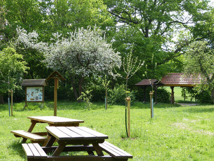 Streuobstwiese am Moorbahnhof in Westerbeck in der Südheide Gifhorn
