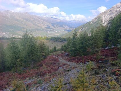 Foto von Grzegorz Kornacki entlang der Tour
