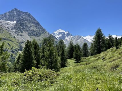Photo de Christiane Papp le long du parcours