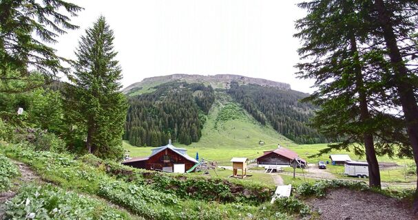 Foto von Gertiziegenhals entlang der Tour