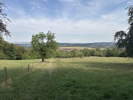 Foto von Tyx De entlang der Tour