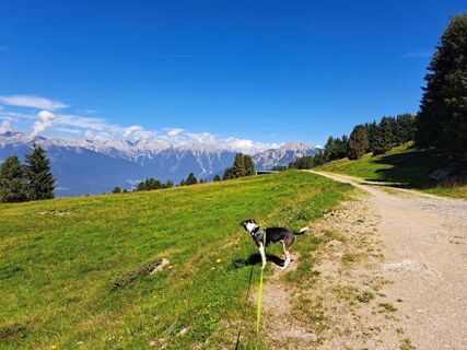 Photo de bart8rombouts le long du parcours