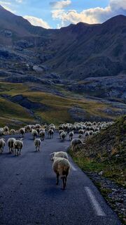 Foto de Fabrizi Mellano a lo largo del recorrido