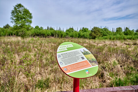 Infotafeln im Ahlenmoor