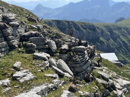 Fotografija s spletne strani Peter Würmli na poti