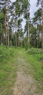 Foto von Andreas Henning entlang der Tour