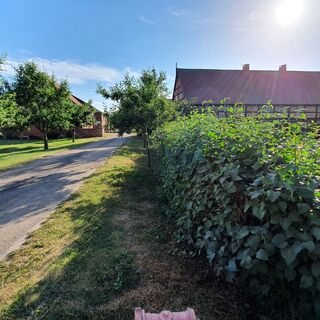 Zemljevid