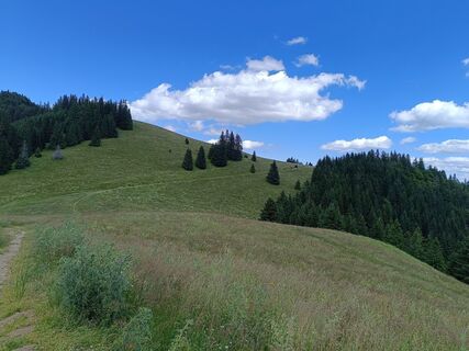 Foto de Žaneta Schelling a lo largo del recorrido