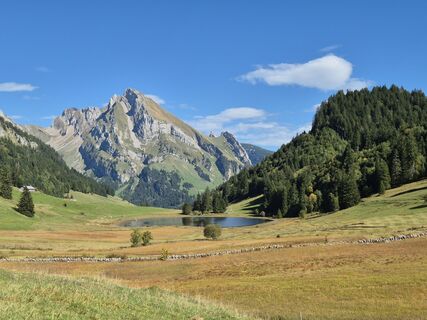 Fotografia z alinradu na trase