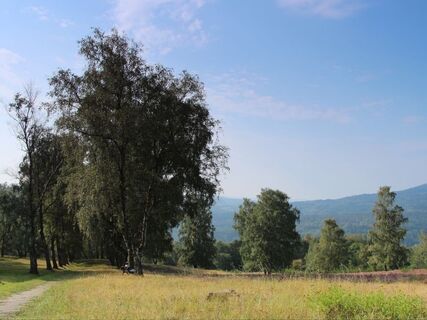 Heide_MTB_2__c_Gerhard_Schaefer.jpg