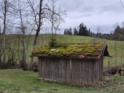 Foto von Anja Mohn-Gross entlang der Tour