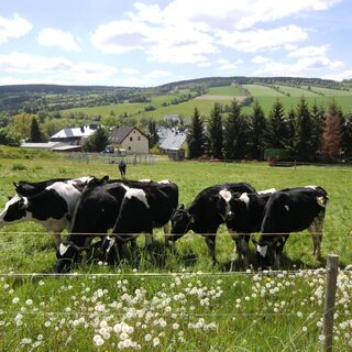 Erzgebirgslandschaft