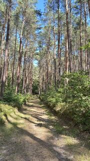 Photo de DraussenZuHause_66 le long du parcours