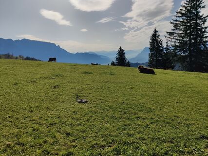 Fotografie z Andreas Schöwe na trase