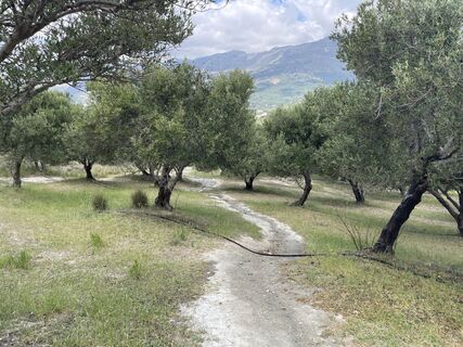 Photo de Tom Van den Haspel le long du parcours