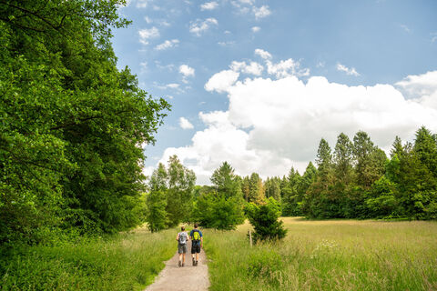 Zemljevid