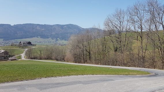 Blick zurück zum Kolomansberg