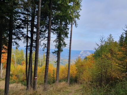 Foto von Gabriele R entlang der Tour