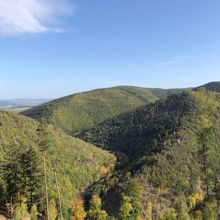 Unteres Schwarzatal - Blick Richtung Eberstein