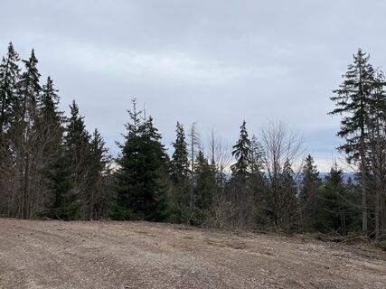 Fotografie z Heinz Sperl na trase