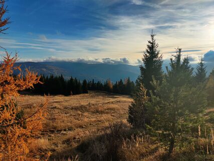 Fotografie de la Martin Londgin de-a lungul turului