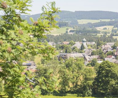 Blick vom Vincent Zahn Kreuz