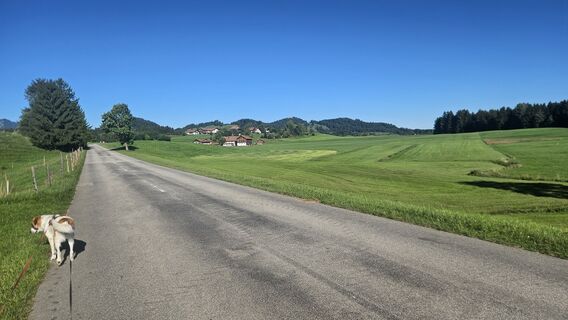 Foto von Klaus Reinhold entlang der Tour