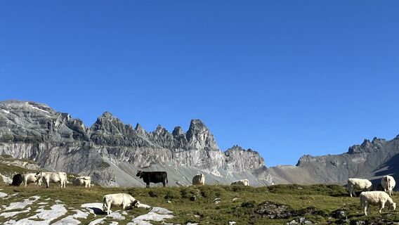 Foto fra Marius Trompetter undervejs på turen