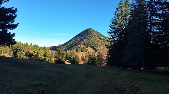 Fotografija s spletne strani Regina Fleischmann na poti