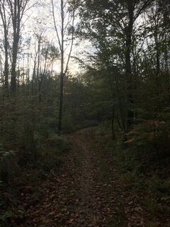 Fotografia z Stefan Van Santen na trase