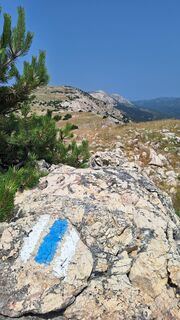 Foto från Aga M under resans gång