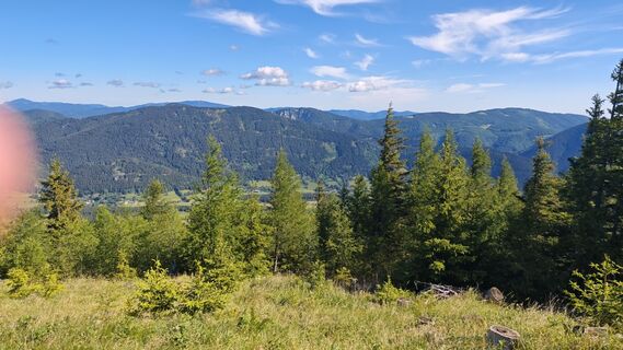 Foto von Bergpirat entlang der Tour