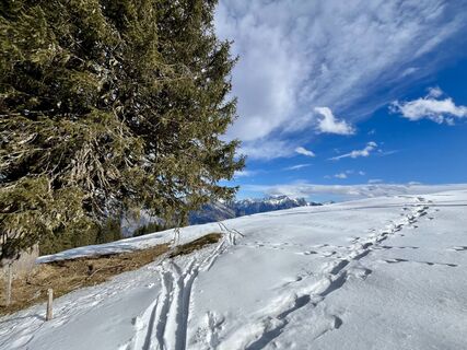 Foto från Thomas Freytag under resans gång