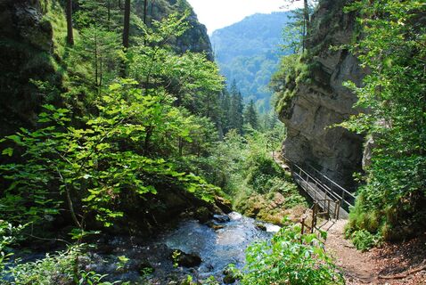 Trefflingfall über Hochbärneckhütte