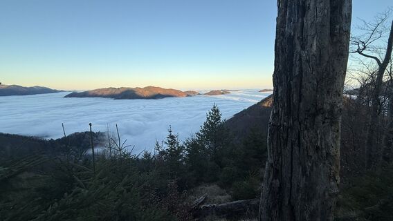 Fotografia z Rfelbing na trase