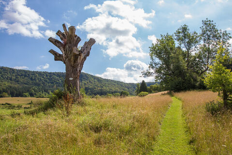 Kirchenköpfle-Tour - Weg zum Kaspars Kreuz