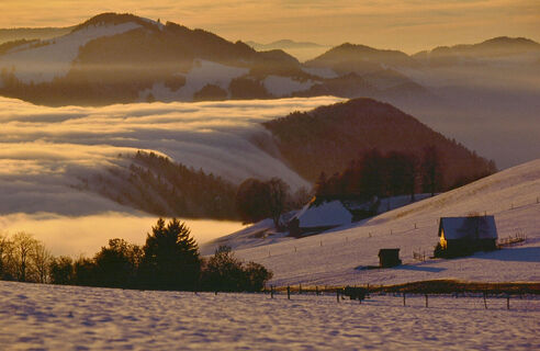 Winter im Jura