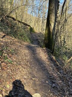 Foto de Elke Stamminger a lo largo del recorrido