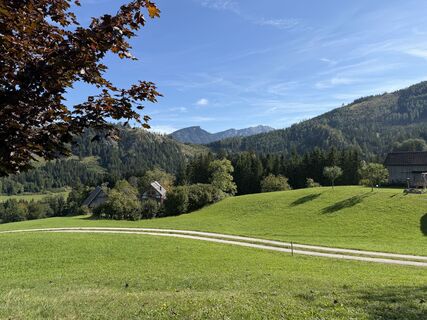 Photo de herje le long du parcours
