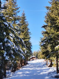 Foto de v.stein a lo largo del recorrido