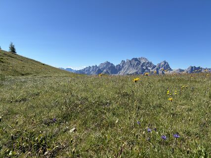 Photo de Martin Gerike le long du parcours