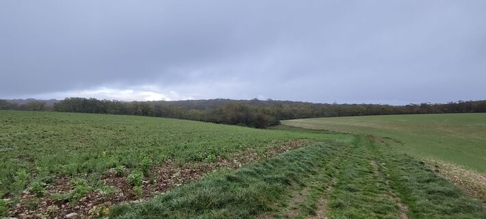 Photo de Gie van den eeckhaut le long du parcours