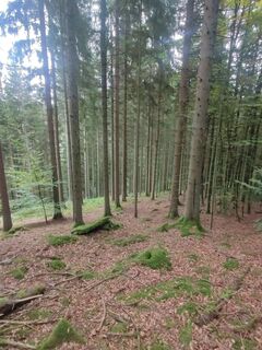Photo de Markus Sedlacek le long du parcours
