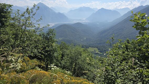 Photo de euterpe42 le long du parcours