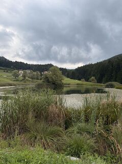 Foto von Veronika Gebetsroither entlang der Tour
